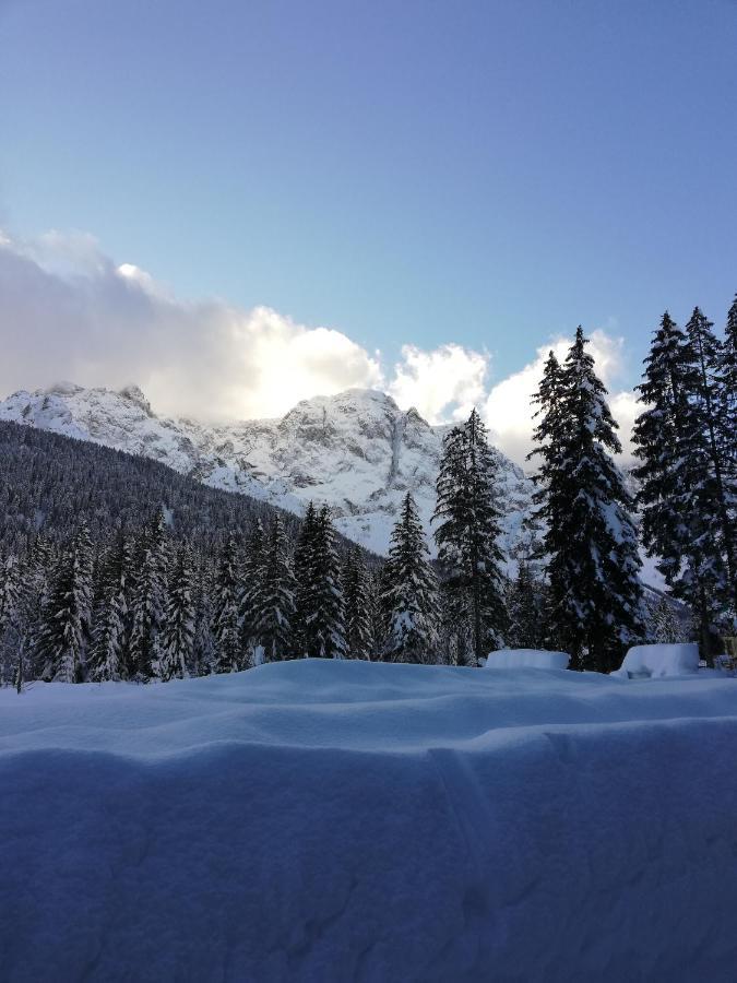 شقة Stella Alpina بادولا المظهر الخارجي الصورة